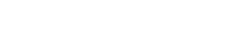 New Partners 11