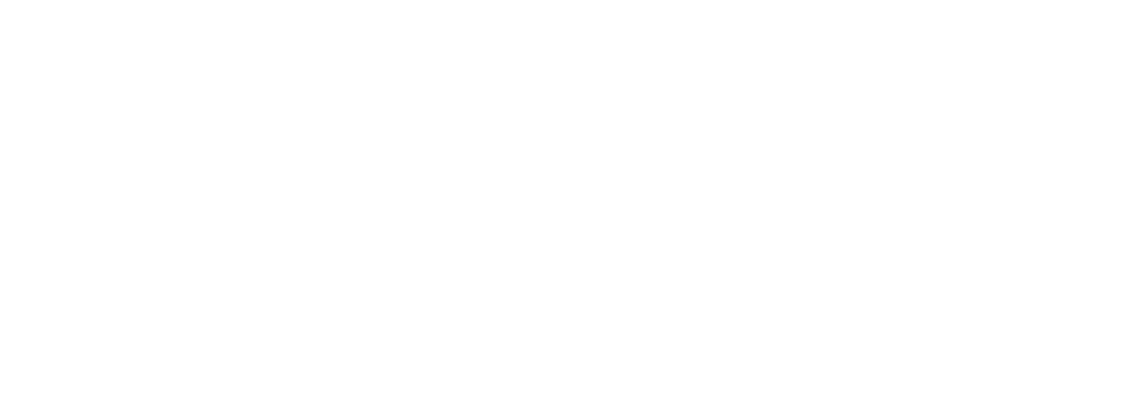 New Partners 11