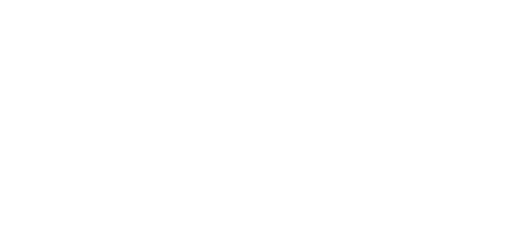 New Partners 11