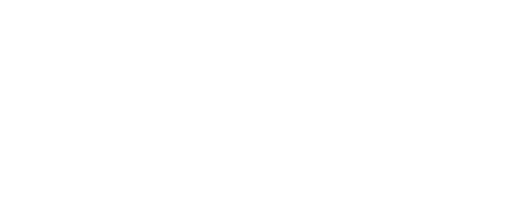 New Partners 11